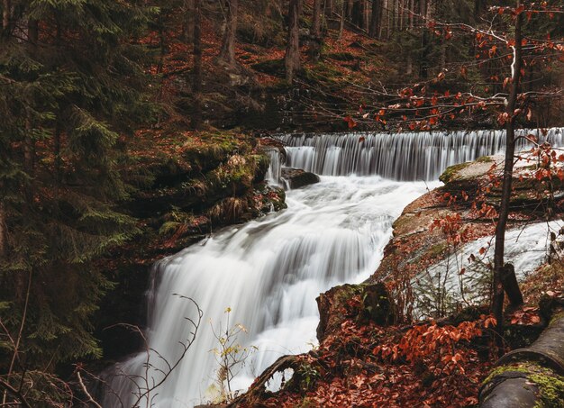 Bella cascata nella foresta d&#39;autunno