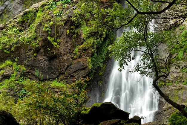 Bella cascata nella foresta del parco nazionale