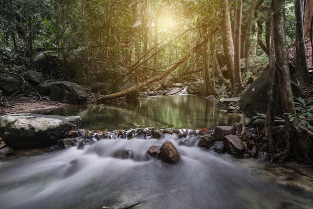 bella cascata nella foresta di autunno del flusso nel parco naturale