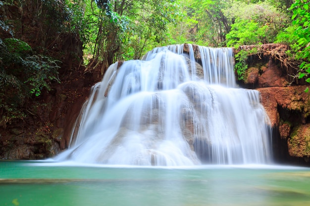 Bella cascata nella foresta profonda