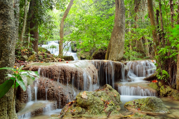 Bella cascata nella foresta profonda