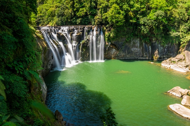 Bella cascata nella foresta profonda.