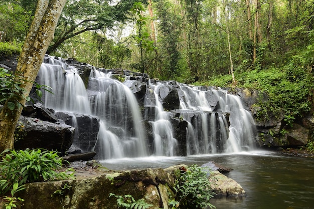 Bella cascata nella foresta profonda.