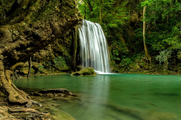 Bella cascata nella foresta verde