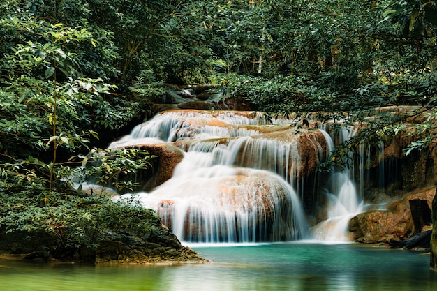 Bella cascata nella foresta verde