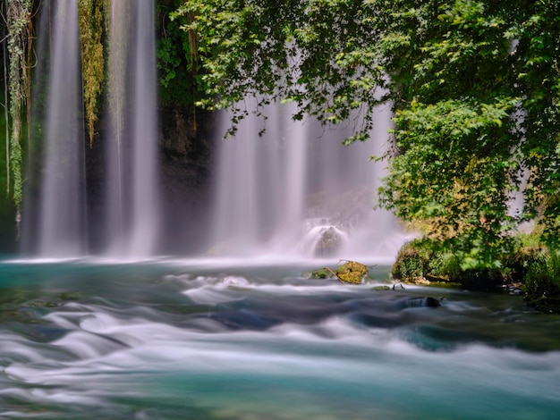 Bella cascata nella foresta