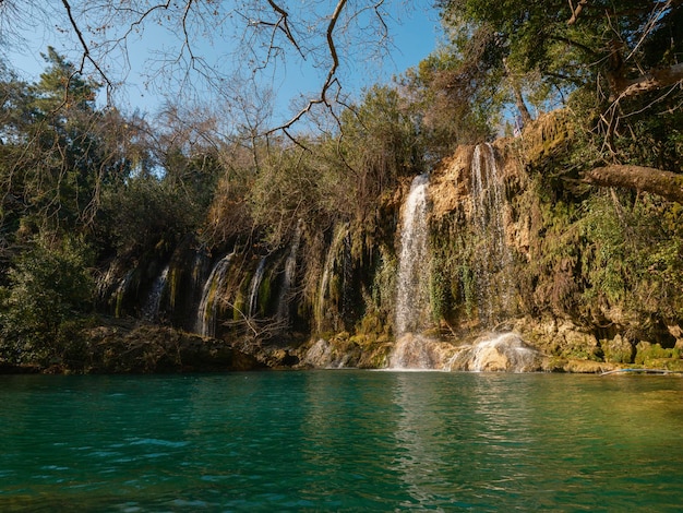 Bella cascata nella foresta