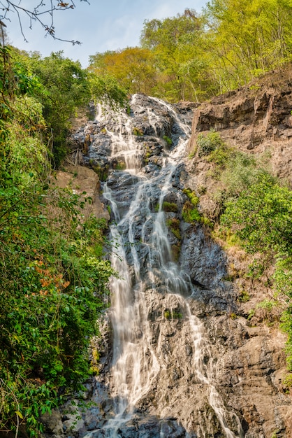 bella cascata nella foresta