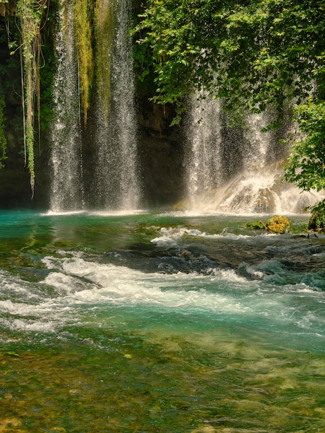 Bella cascata nella natura