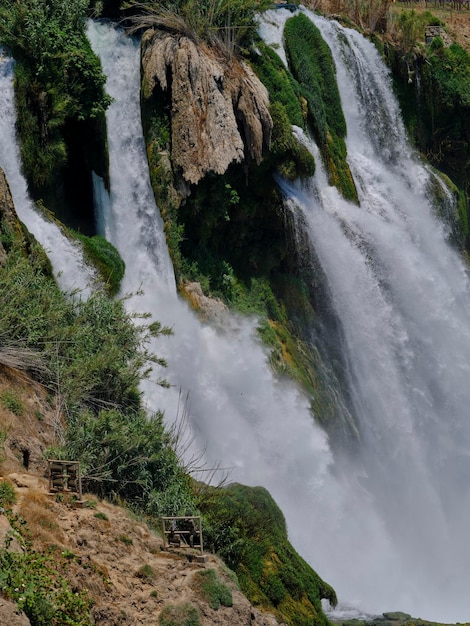 Bella cascata nella natura