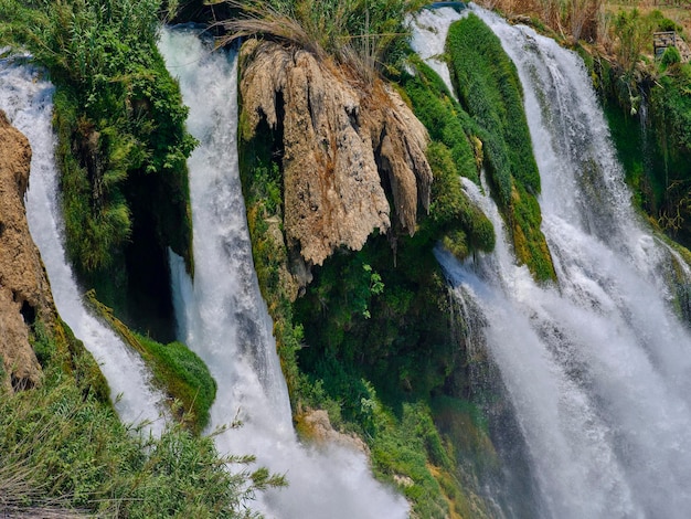 Bella cascata nella natura