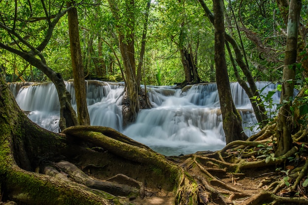 Bella cascata sulla foresta