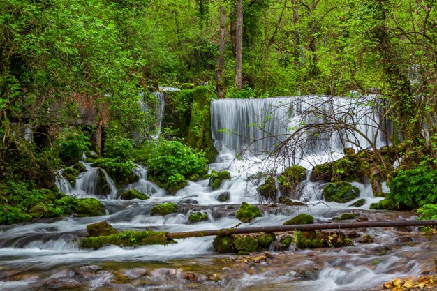 Bella cascata Vrelo nel parco nazionale di Perucac Tara Serbia