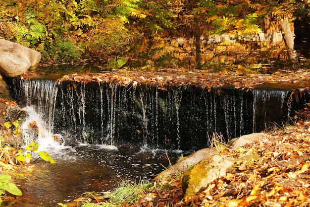 bella cascata