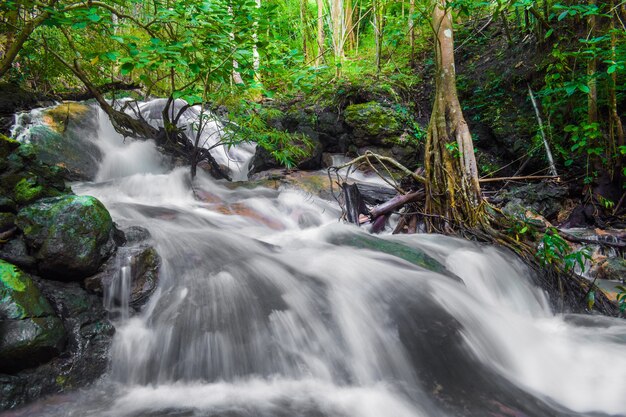 Bella cascata