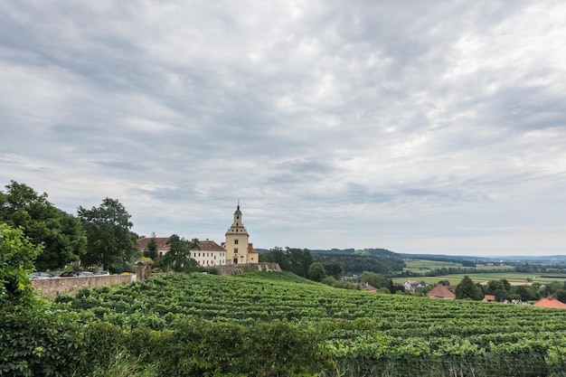 Bella chiesa antica su un paesaggio collinare con vigneti