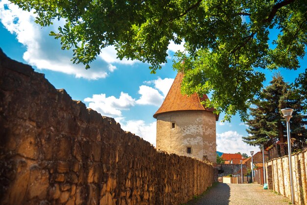 Bella città storica Bardejov. Slovacchia, Europa.