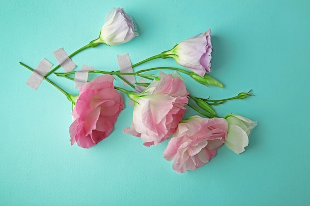 Bella composizione di fiori di eustoma rosa su sfondo turchese