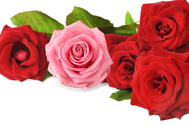 Bella composizione di rose rosse e rosa