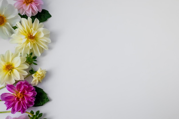 Bella composizione floreale, cornice di dalie su sfondo bianco. Fiori rosa, bianchi e gialli, mockup o modello