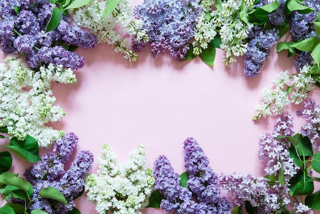 Bella composizione floreale. Fiori lilla, spazio libero per il testo su uno sfondo pastello chiaro.