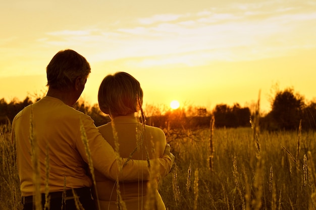 Bella coppia felice sul campo al tramonto, vista posteriore