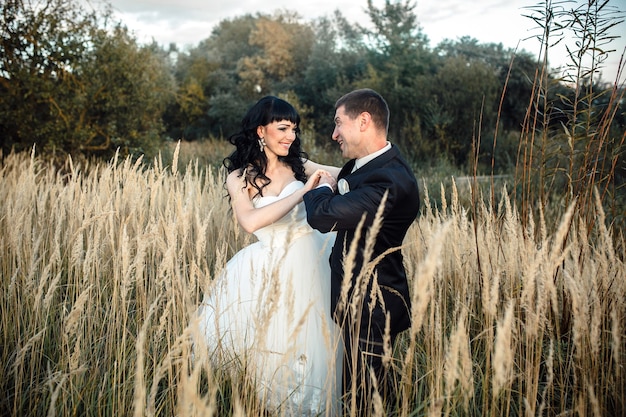 Bella coppia matrimonio seduto nel bosco su un albero caduto