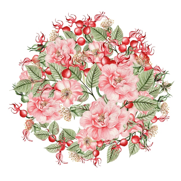 Bella corona ad acquerello con fiori e boccioli di rosa canina. Illustrazione