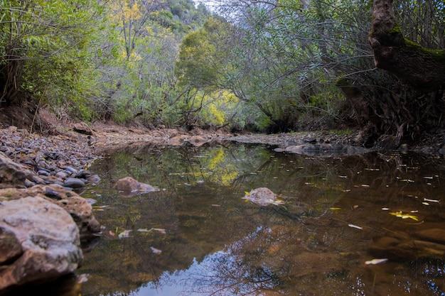 Bella corrente del fiume a Benemola, Portogallo.