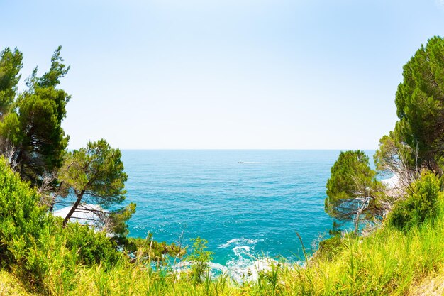 Bella costa del mare con acqua turchese e alberi verdi in Montenegro. Concetto di destinazione di viaggio