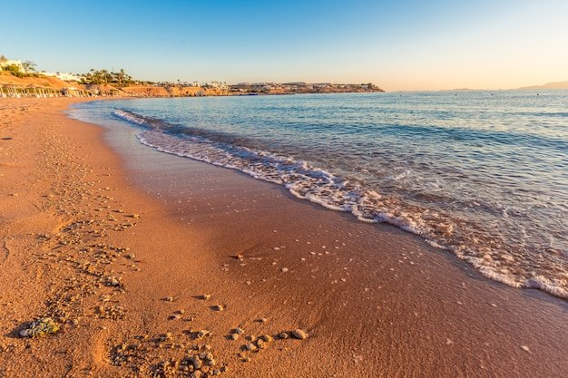 Bella costa della spiaggia nell'egitto del mar rosso