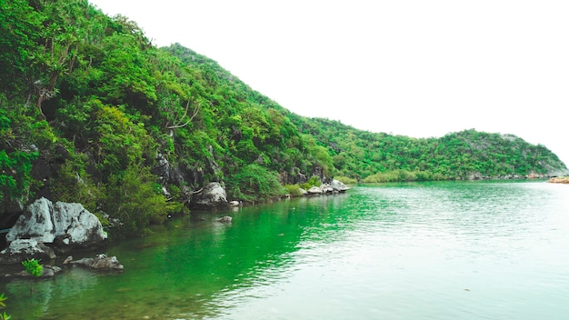 Bella costa rocciosa della spiaggia del mare con l'albero verde. Isole tropicali, arcipelago Chum-porno, Thailandia. relax bella vacanza