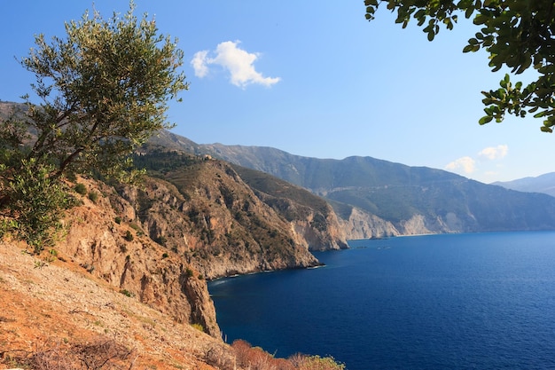 Bella costa rocciosa in giornata di sole con alberi di ulivo. Mar Ionio, Cefalonia, Grecia