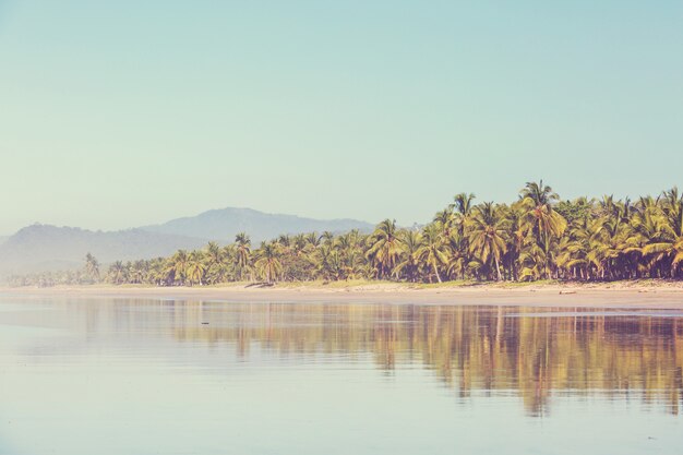 Bella costa tropicale dell'Oceano Pacifico in Costa Rica