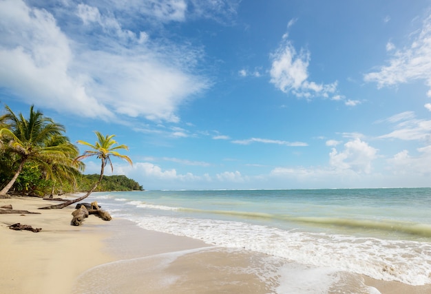 Bella costa tropicale dell'Oceano Pacifico in Costa Rica