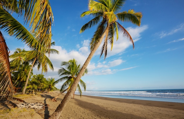 Bella costa tropicale dell'Oceano Pacifico in Costa Rica