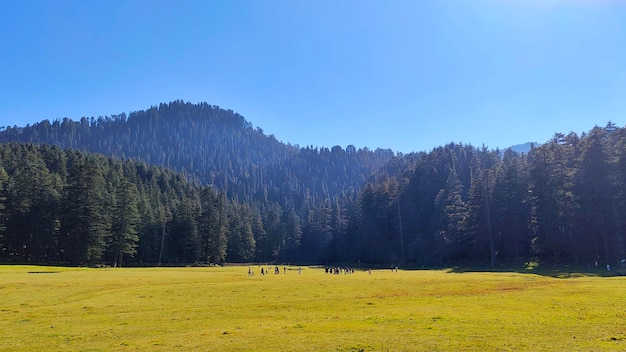 Bella Dalhousie con lussureggianti paesaggi verdi