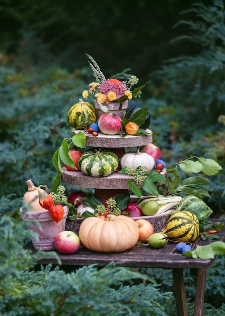 Bella decorazione da giardino autunnale con zucca colorata, zucche, mele, prugne, noci e fiori