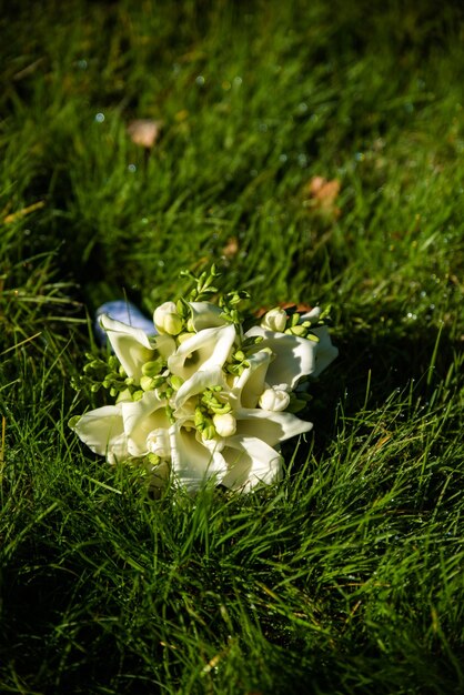 Bella decorazione di matrimoni con diverse foglie verdi esotiche di rees per il concetto di natura set di foglie Delicato bouquet Bouquet con rose peonie callas per matrimonio sposa e sposo