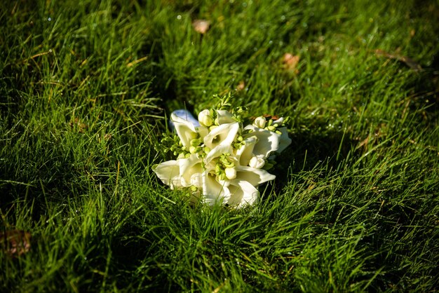 Bella decorazione di matrimoni con diverse foglie verdi esotiche di rees per il concetto di natura set di foglie Delicato bouquet Bouquet con rose peonie callas per matrimonio sposa e sposo