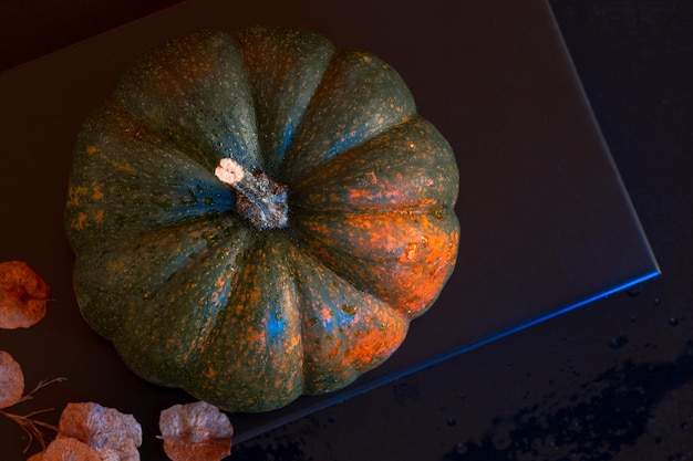 Bella decorazione di zucca matura per il Ringraziamento su sfondo scuro Vista dall'alto