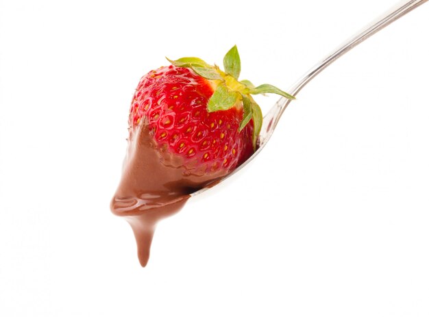 Bella deliziosa fragola con cioccolato