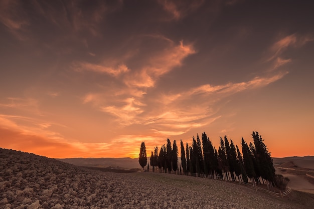 Bella discesa con cipressi e cielo maestoso, Toscana, Italia