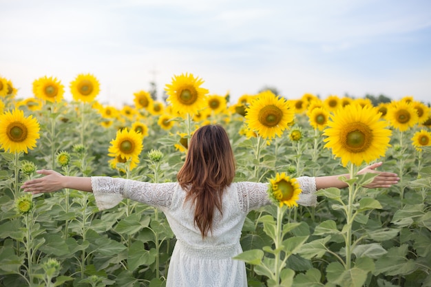 Bella donna al campo del fondo dei girasoli di estate. concetto di vacanza relax