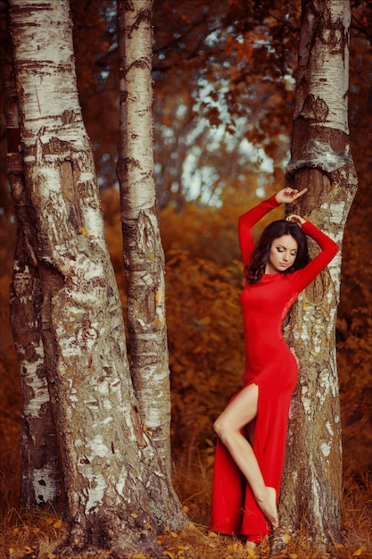 Bella donna castana che posa in un vestito rosso lungo lussuoso che sta nella foresta della betulla di autunno.