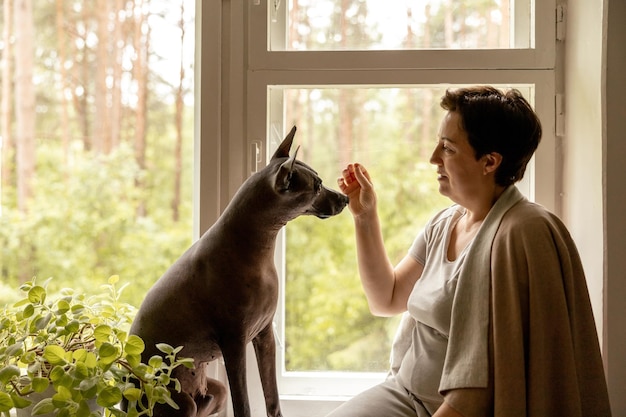 Bella donna di mezza età seduta sul davanzale della finestra con il suo cane donna di 50 anni che trascorre del tempo con il suo cane messicano glabro a casa Xoloitzquintle cane di razza xolo come migliore amico della famiglia