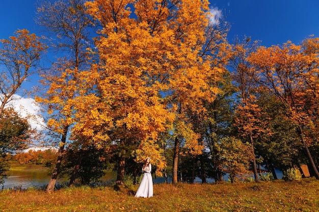 Bella donna in un abito lungo nella foresta di autunno