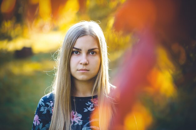 Bella donna in un maglione e pantaloni seduti nella natura autunnale con foglie cadute. La giovane ragazza dai capelli lunghi brillante si rilassa nel parco con foglie gialle rosse in autunno. concetto romantico.