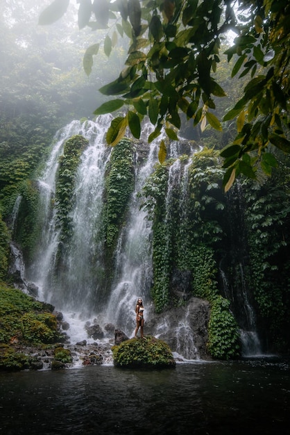 Bella donna selvaggia in bikini in una cascata all'interno di una lussureggiante giungla del sud-est asiatico a Bali, Indonesia