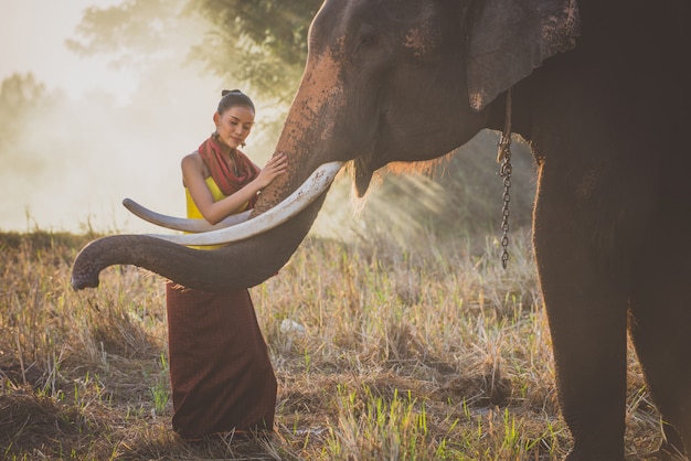 Bella donna tailandese che passa tempo con l'elefante nella giungla